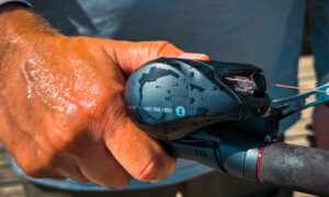 Rollatorbroms blev fiskerulle