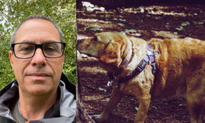 Hundapp nosar på USA