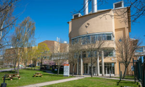 Red Glead dubblar ytan