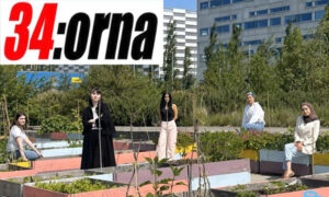 Kunskaper som kompletterar