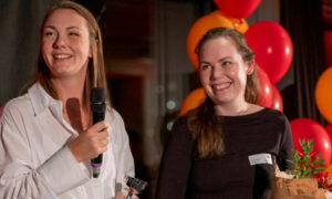 Inimini kastas från drakar till lejon