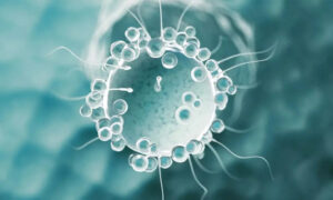 Klockan tickar för Spermosens