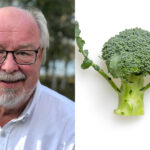 Han vill bekämpa diabetes med broccoli