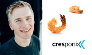 Svensk scampi i Lejonkulan