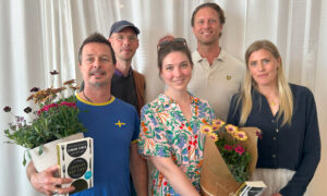 Färdigbakade Krinova-bolag