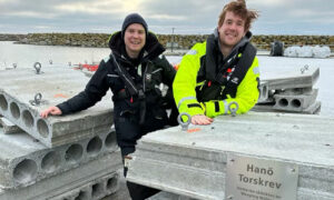 Näringslivstorskar på djupt vatten