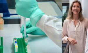 Magle på köparstråt