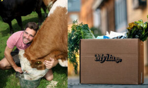 Från mylla till Saas-lösning