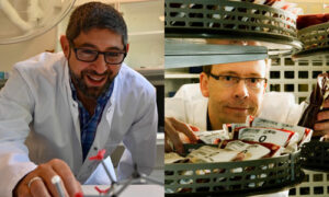 Universellt blod på väg bli verklighet