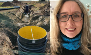 Sandberg går in i Diapure