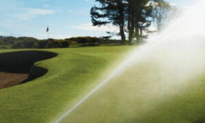 Lyckegård kapar förlusten – och lämnar Skåne