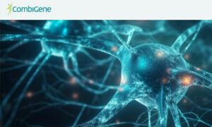 Farväl till Lundabolaget