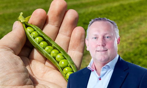 Paulsson säljer ärtfabriken i Bjuv