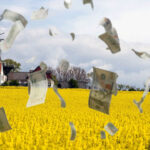 De tog in mest kapital under hösten