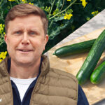 Grönsaksbolaget skalar upp